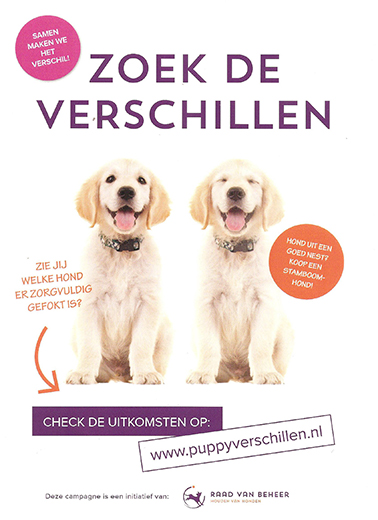 zoek de verschillen