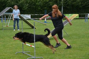 2017-06-17 GH laatste les